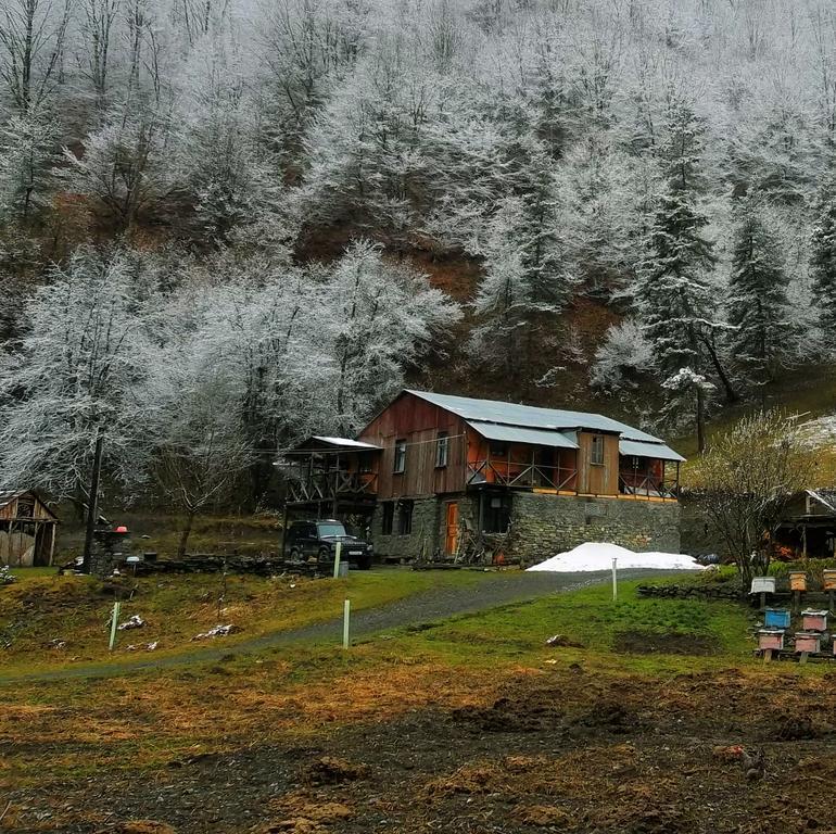 Korsha Guesthouse Roshka Exterior photo